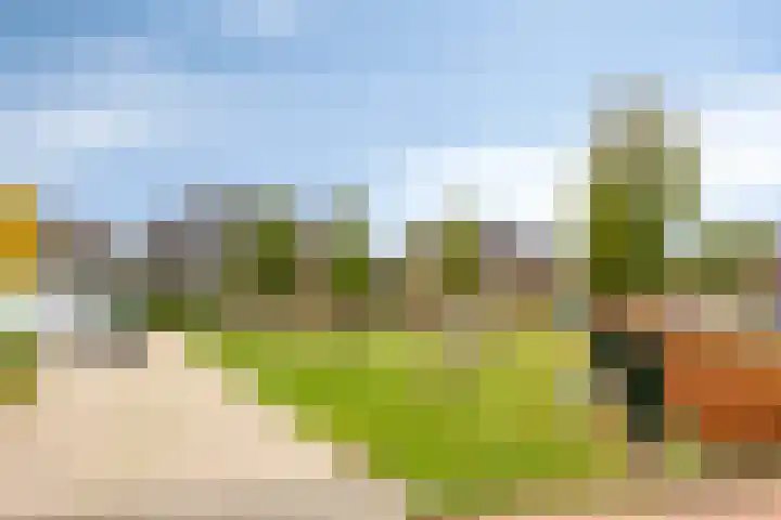 Ettenseweg 37 Rijsbergen thumbnail 44