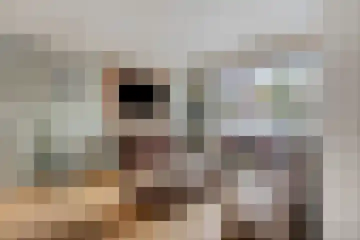 Ettenseweg 37 Rijsbergen thumbnail 9