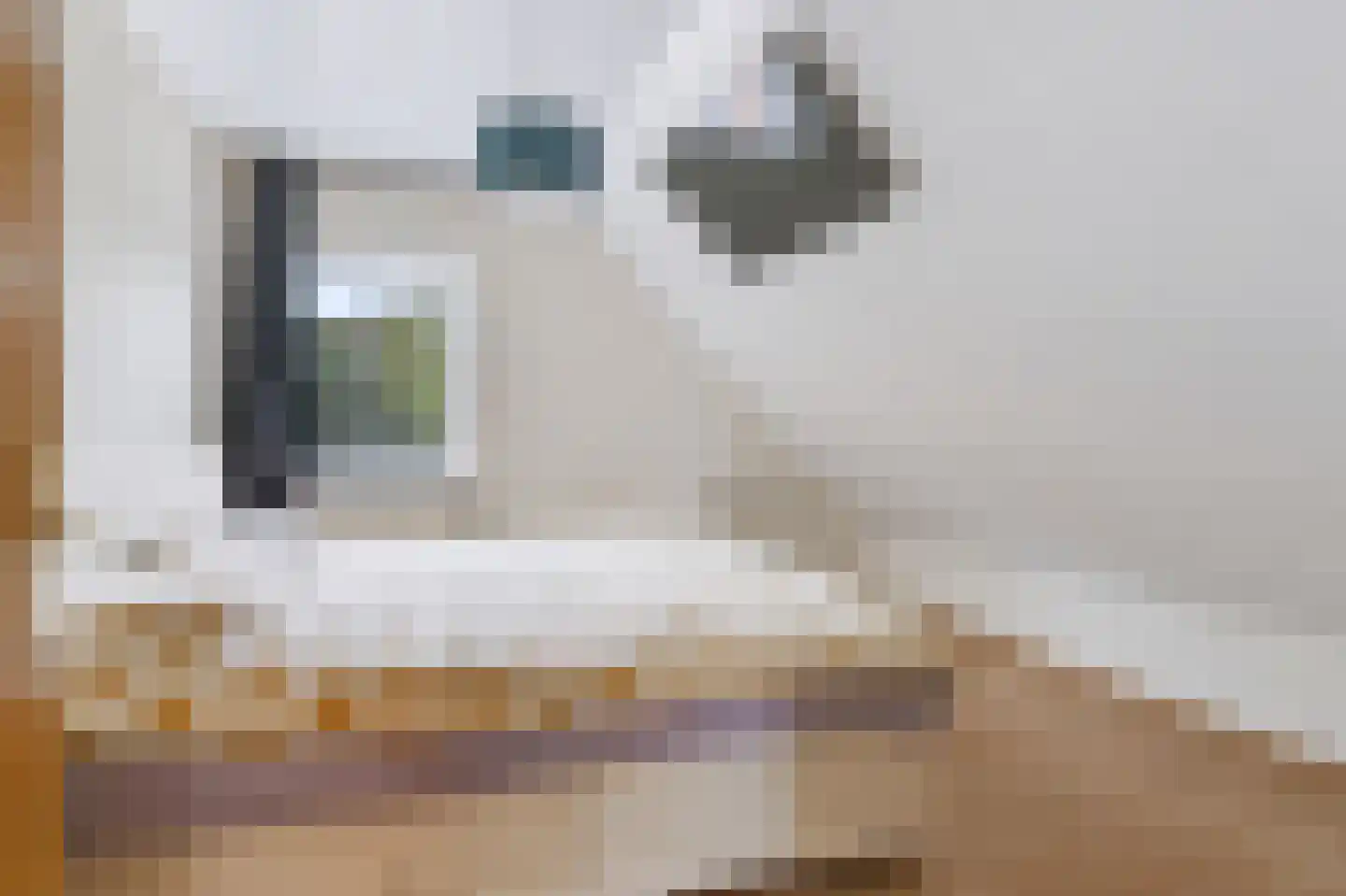 Ettenseweg 42 Sprundel thumbnail 27