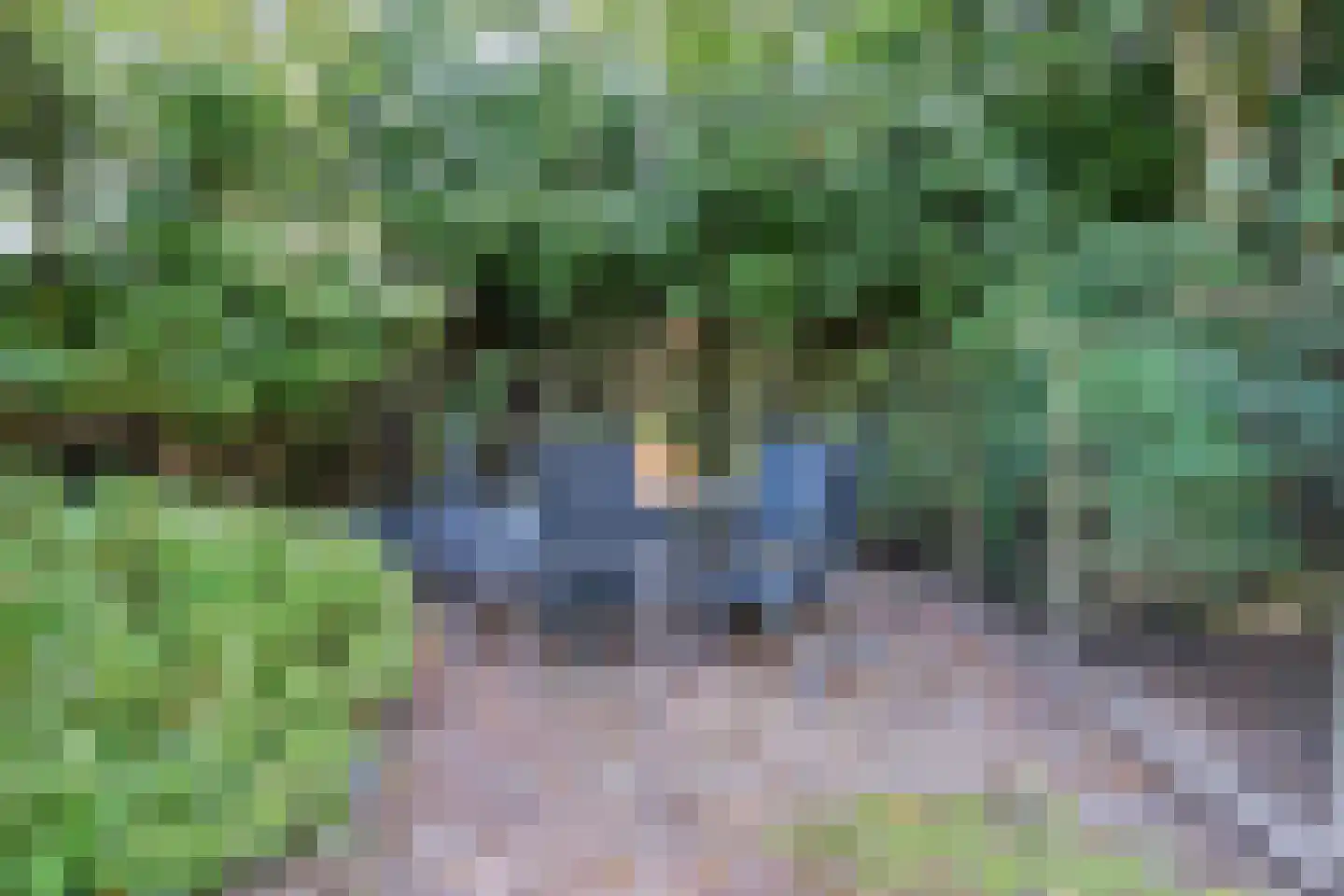Ettenseweg 42 Sprundel thumbnail 55