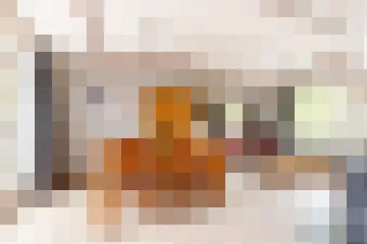 Ettenseweg 66 Rijsbergen thumbnail 11