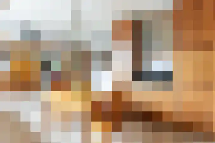 Ettenseweg 66 Rijsbergen thumbnail 14