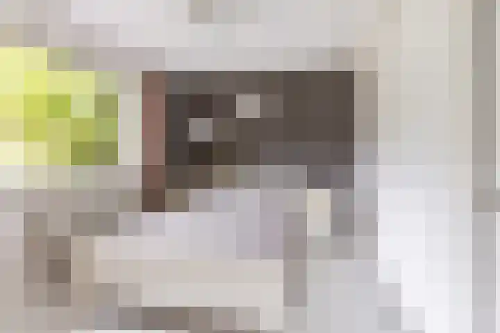 Ettenseweg 66 Rijsbergen thumbnail 15