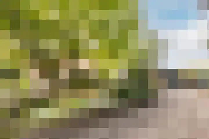 Ettenseweg 66 Rijsbergen thumbnail 22