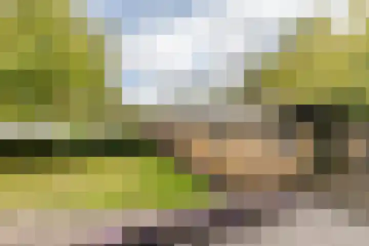 Ettenseweg 66 Rijsbergen thumbnail 23