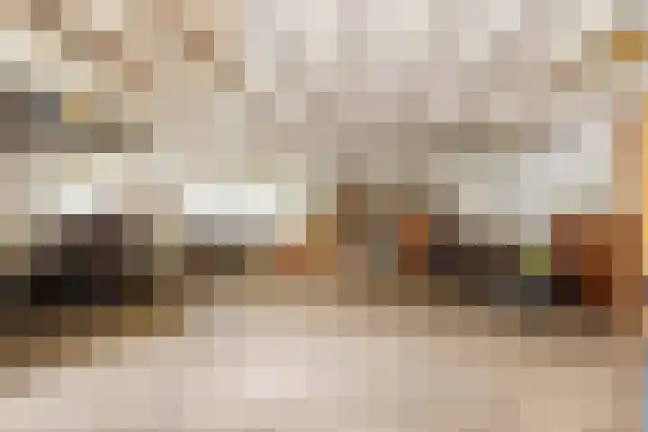 Ettenseweg 66 Rijsbergen thumbnail 24