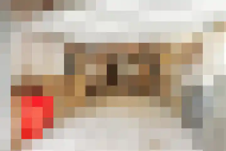Ettenseweg 66 Rijsbergen thumbnail 25