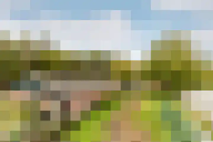 Ettenseweg 66 Rijsbergen thumbnail 26