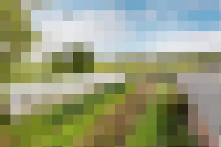 Ettenseweg 66 Rijsbergen thumbnail 27