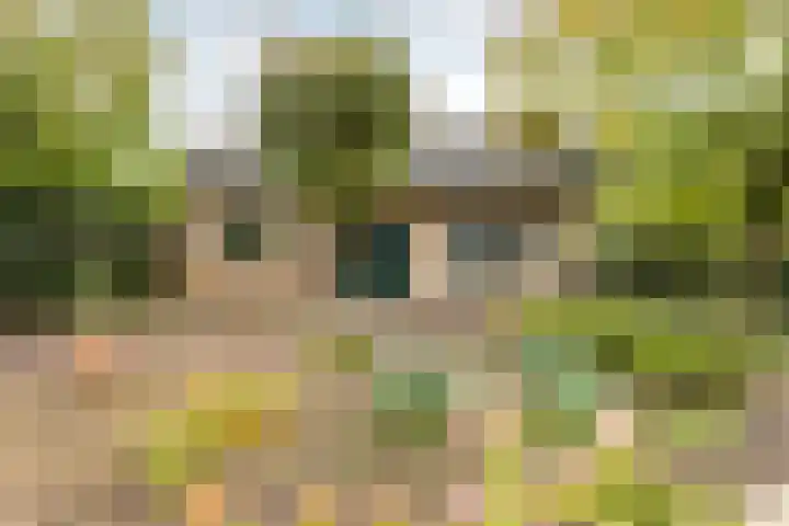 Ettenseweg 66 Rijsbergen thumbnail 28