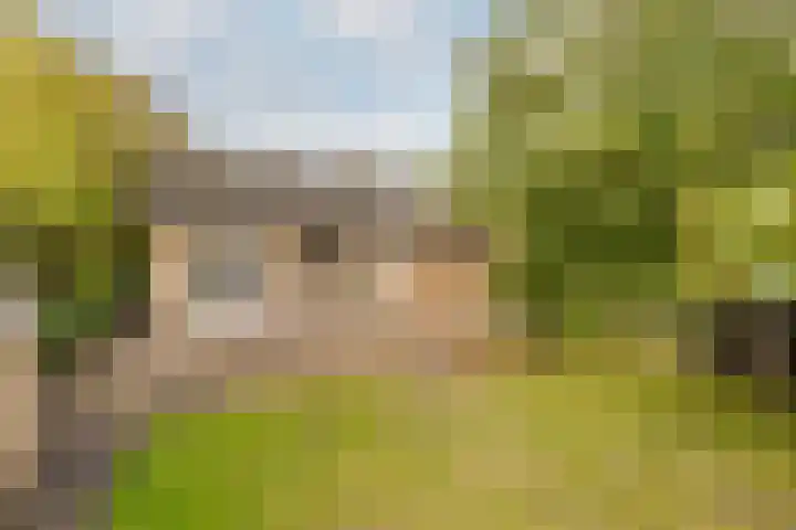 Ettenseweg 66 Rijsbergen thumbnail 29