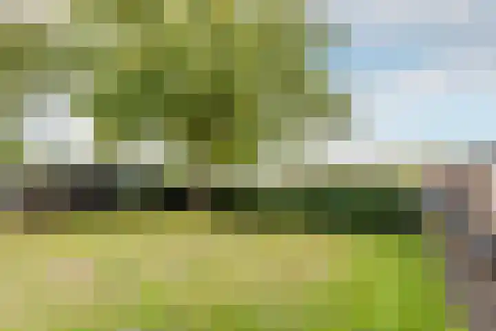 Ettenseweg 66 Rijsbergen thumbnail 30