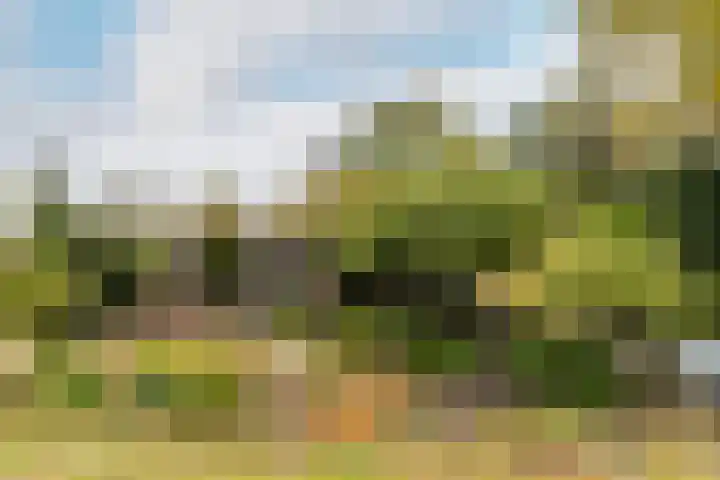 Ettenseweg 66 Rijsbergen thumbnail 31
