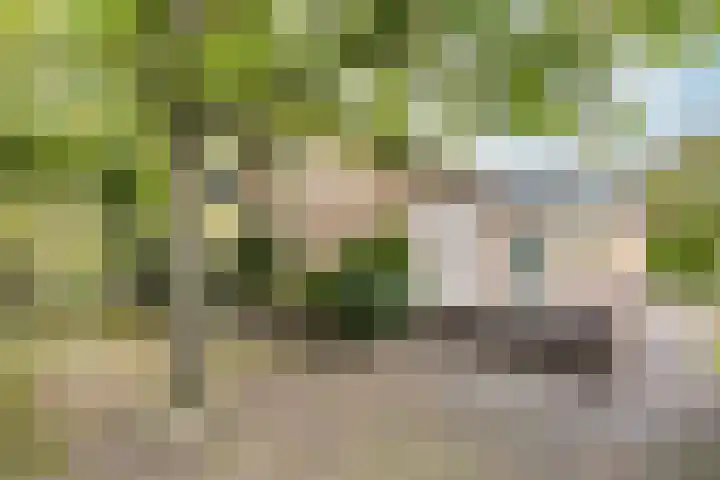Ettenseweg 66 Rijsbergen thumbnail 32