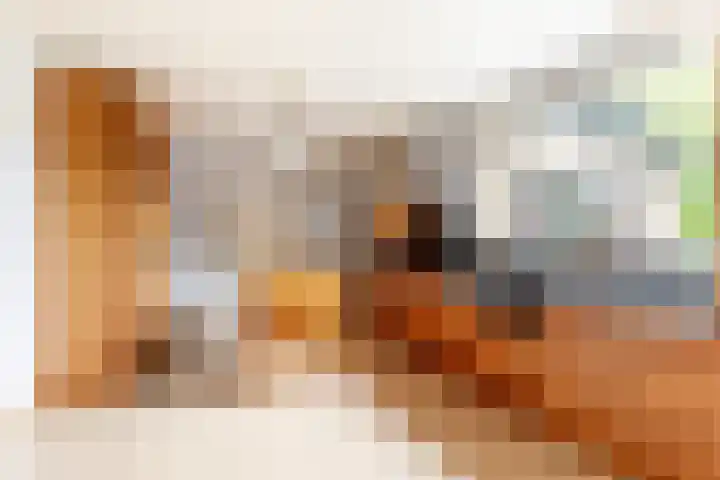 Ettenseweg 66 Rijsbergen thumbnail 5
