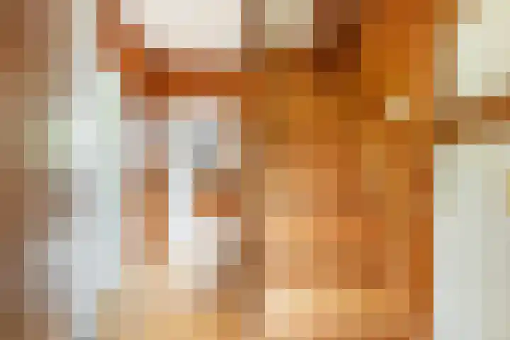 Ettenseweg 66 Rijsbergen thumbnail 8