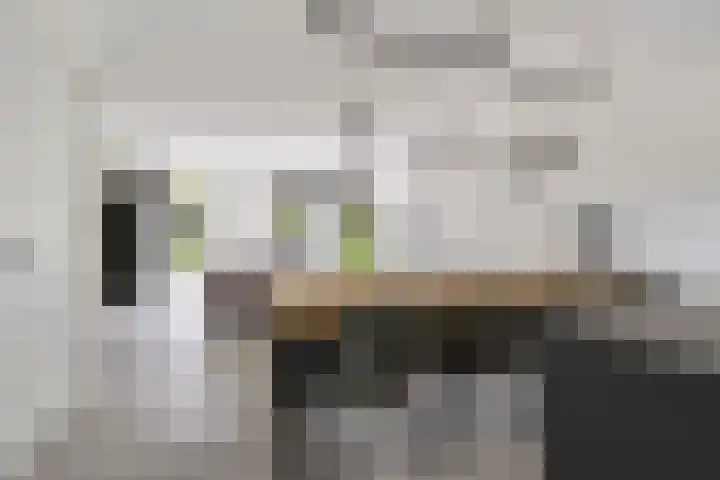 Ettenseweg 69 a Rijsbergen thumbnail 17