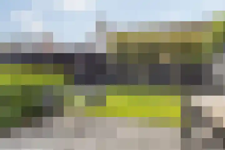 Ettenseweg 69 a Rijsbergen thumbnail 35