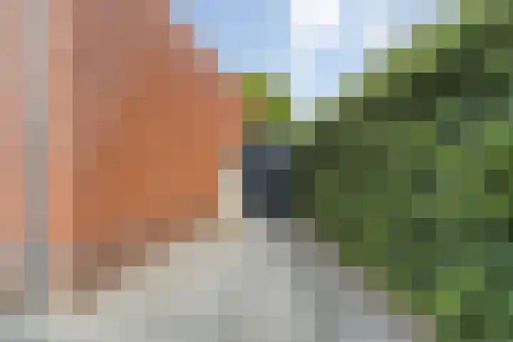 Ettenseweg 69 a Rijsbergen thumbnail 41