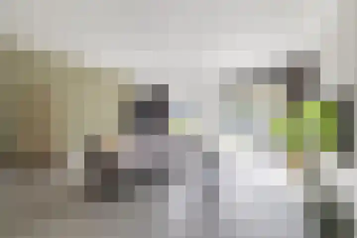 Ettenseweg 69 a Rijsbergen thumbnail 5
