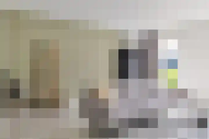 Ettenseweg 69 a Rijsbergen thumbnail 6
