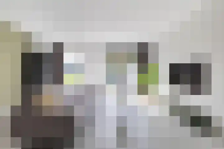 Ettenseweg 69 a Rijsbergen thumbnail 7