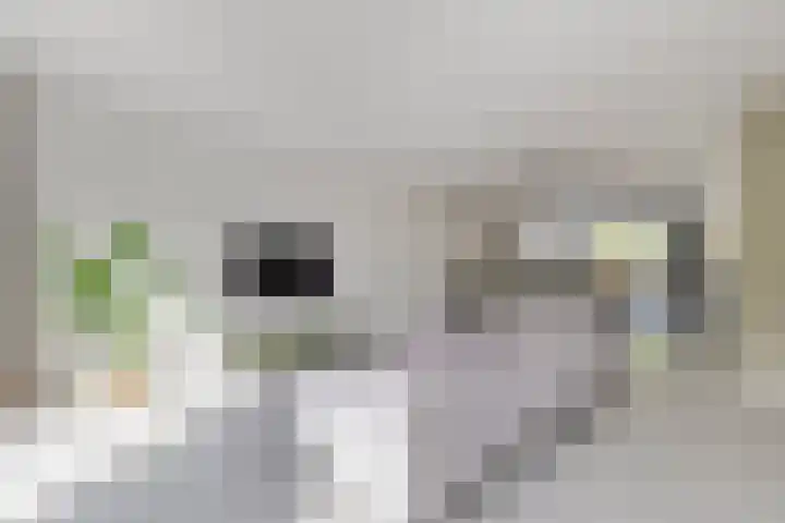 Ettenseweg 69 a Rijsbergen thumbnail 8
