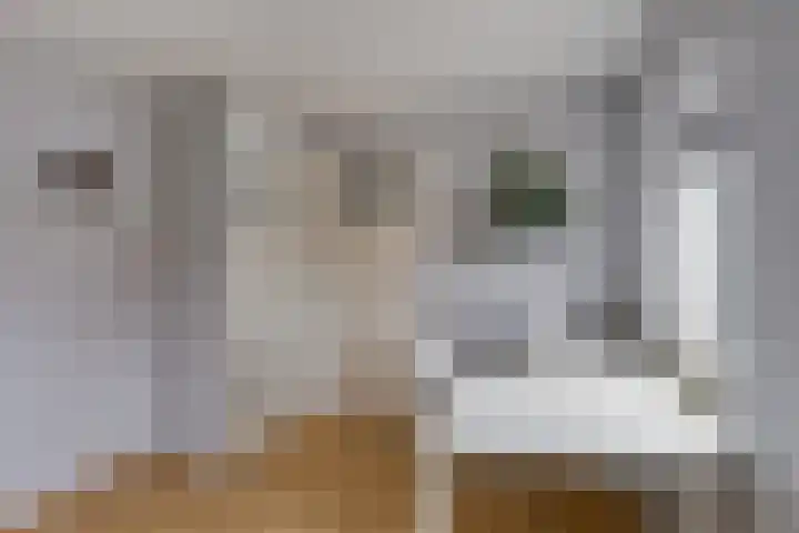 Ettenseweg 93 Ulft thumbnail 23