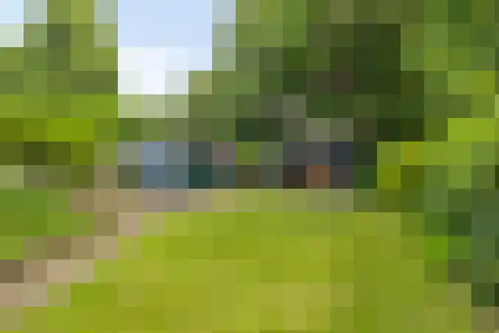 Ettenseweg 93 Ulft thumbnail 29