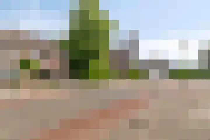 Ettenseweg 93 Ulft thumbnail 35