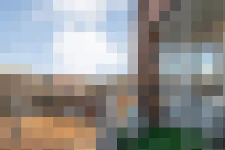 Ettenstraat 207 Beilen thumbnail 29