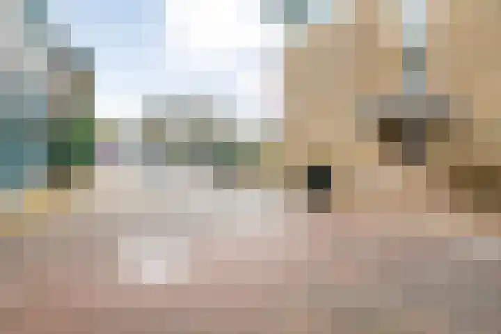 Ettenstraat 207 Beilen thumbnail 38