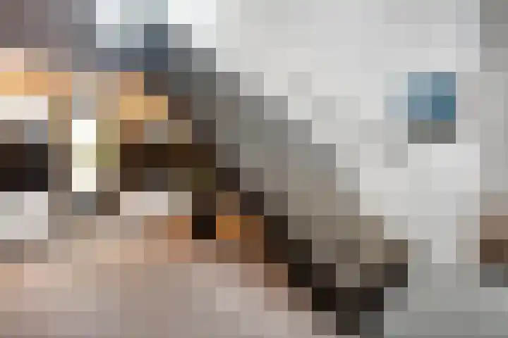 Ettenstraat 207 Beilen thumbnail 7