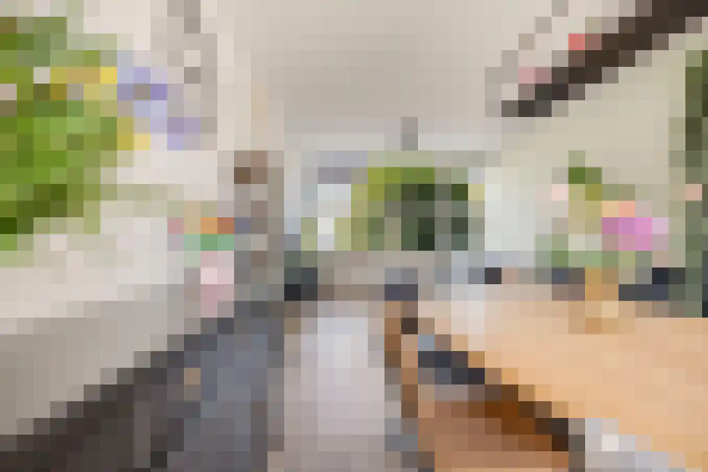 Etterbeekstraat 5 Breda thumbnail 13