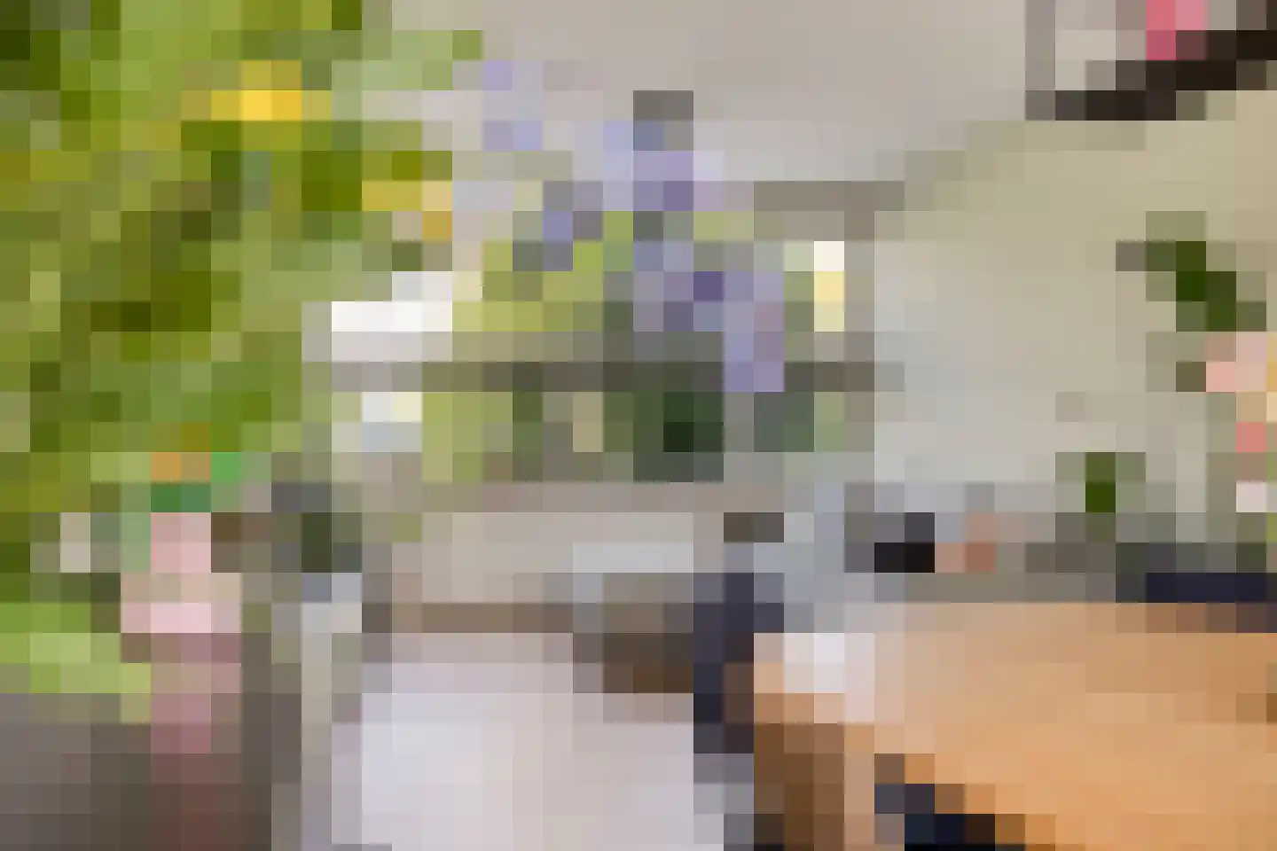 Etterbeekstraat 5 Breda thumbnail 16