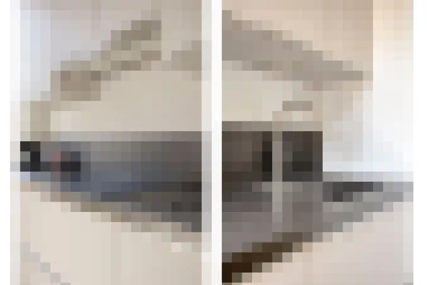 Etterbeekstraat 5 Breda thumbnail 17