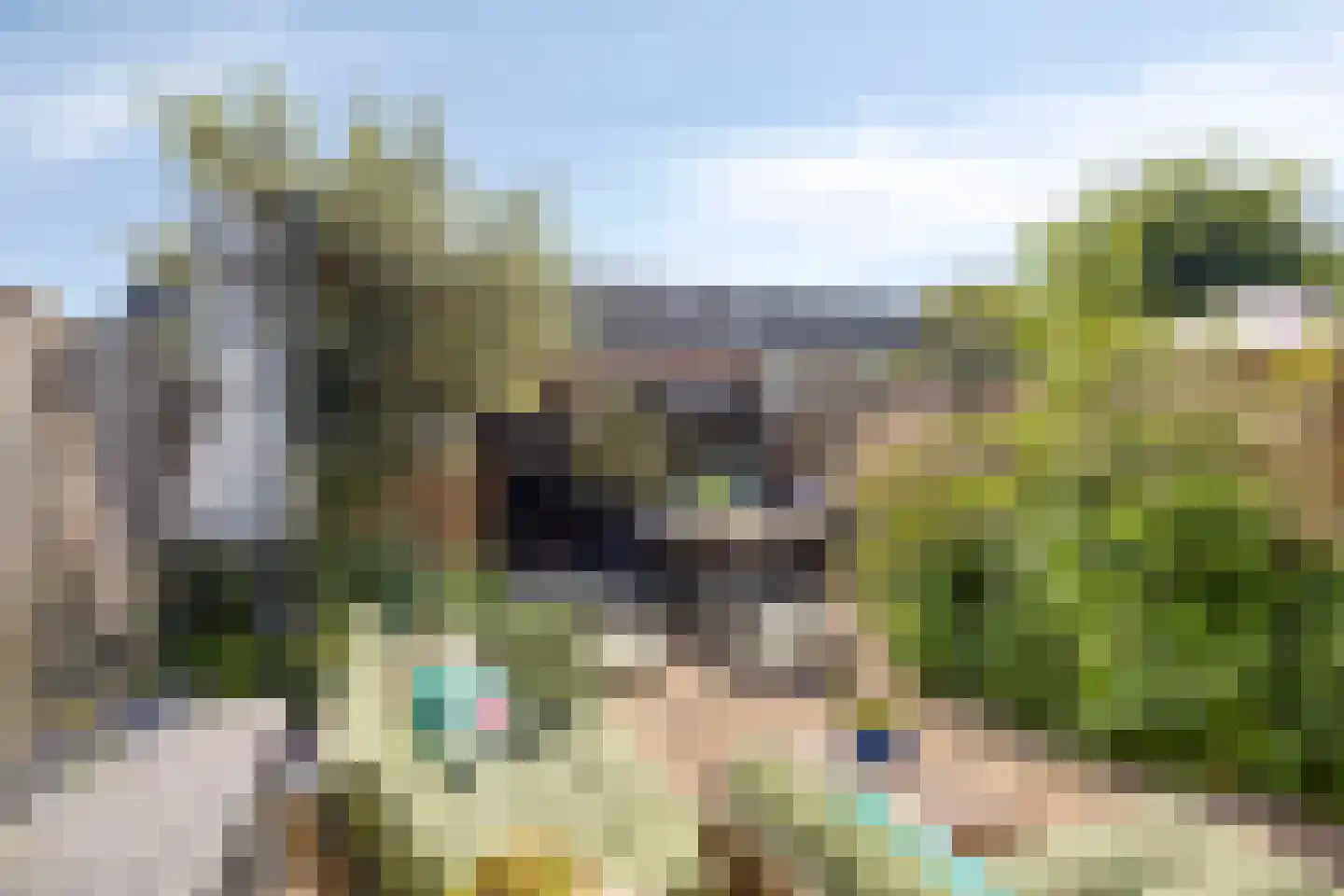 Etterbeekstraat 5 Breda thumbnail 33