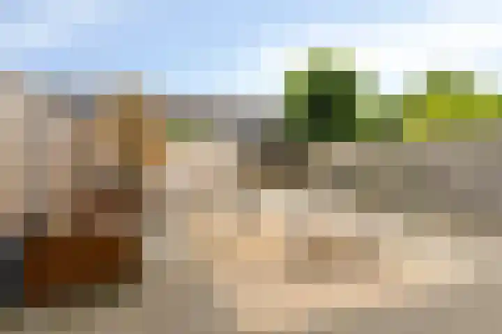 Etterbeekstraat 7 Breda thumbnail 20