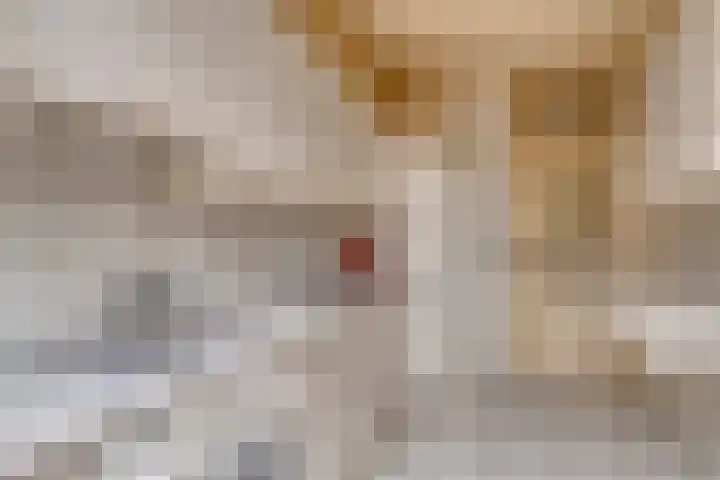 Etterbeekstraat 7 Breda thumbnail 9