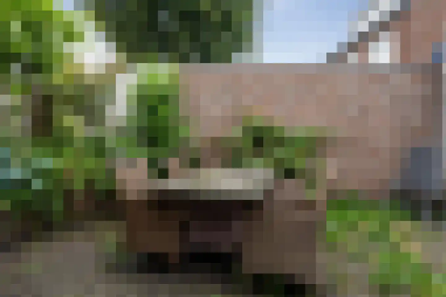 Ettingstraat 7 Roosendaal thumbnail 9