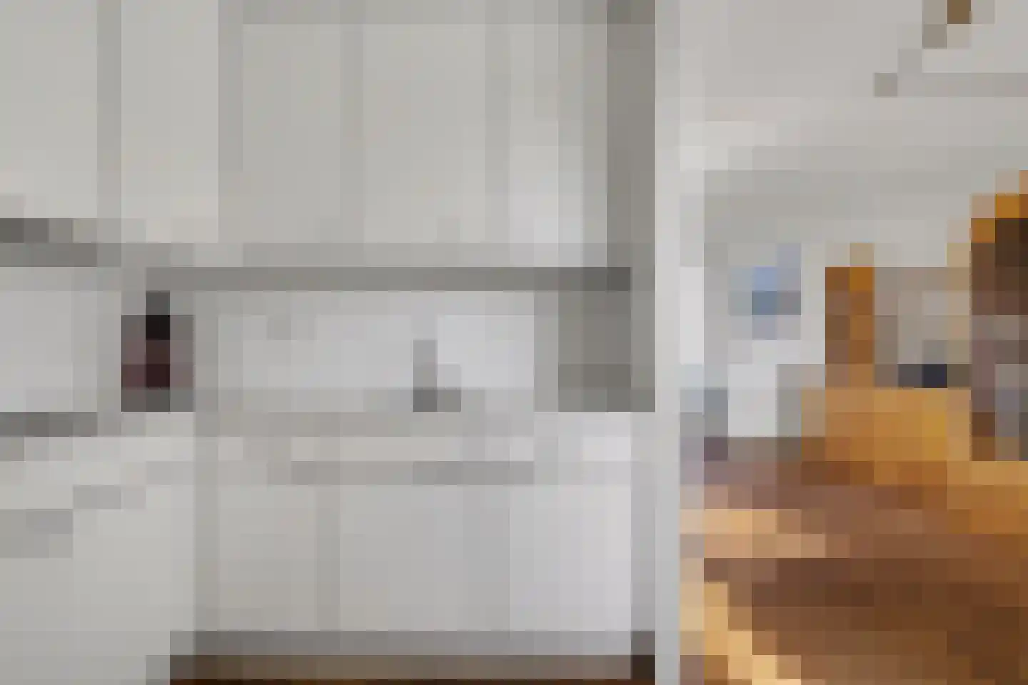 Etty Hillesumlaan 1 Kloetinge thumbnail 10