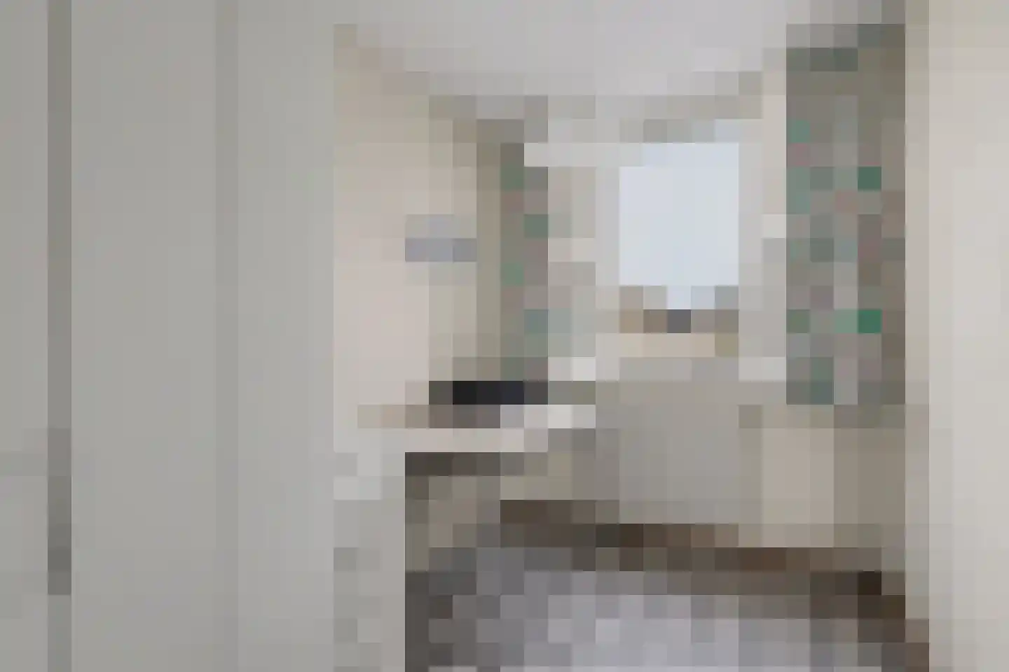 Etty Hillesumlaan 1 Kloetinge thumbnail 15