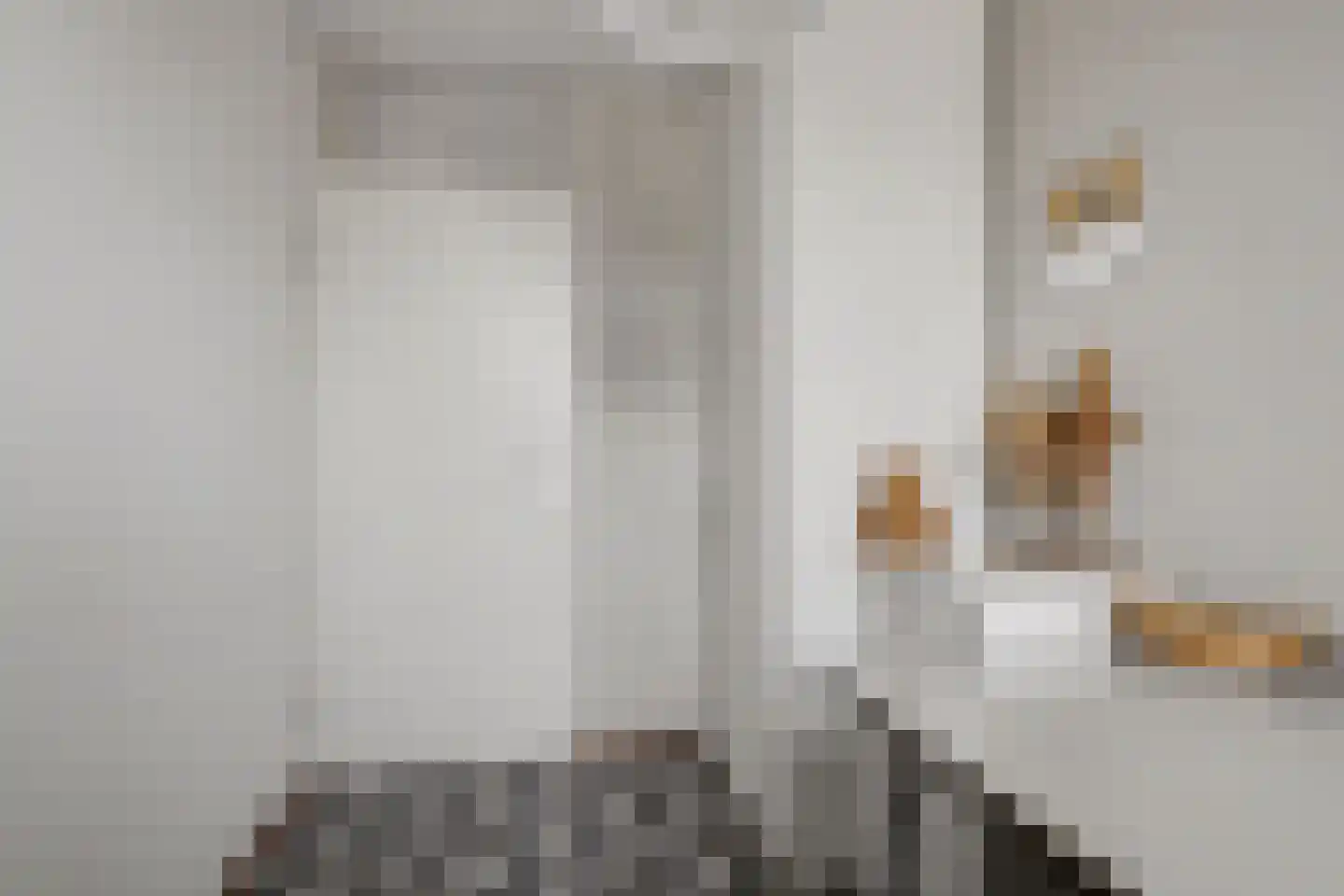 Etty Hillesumlaan 1 Kloetinge thumbnail 18