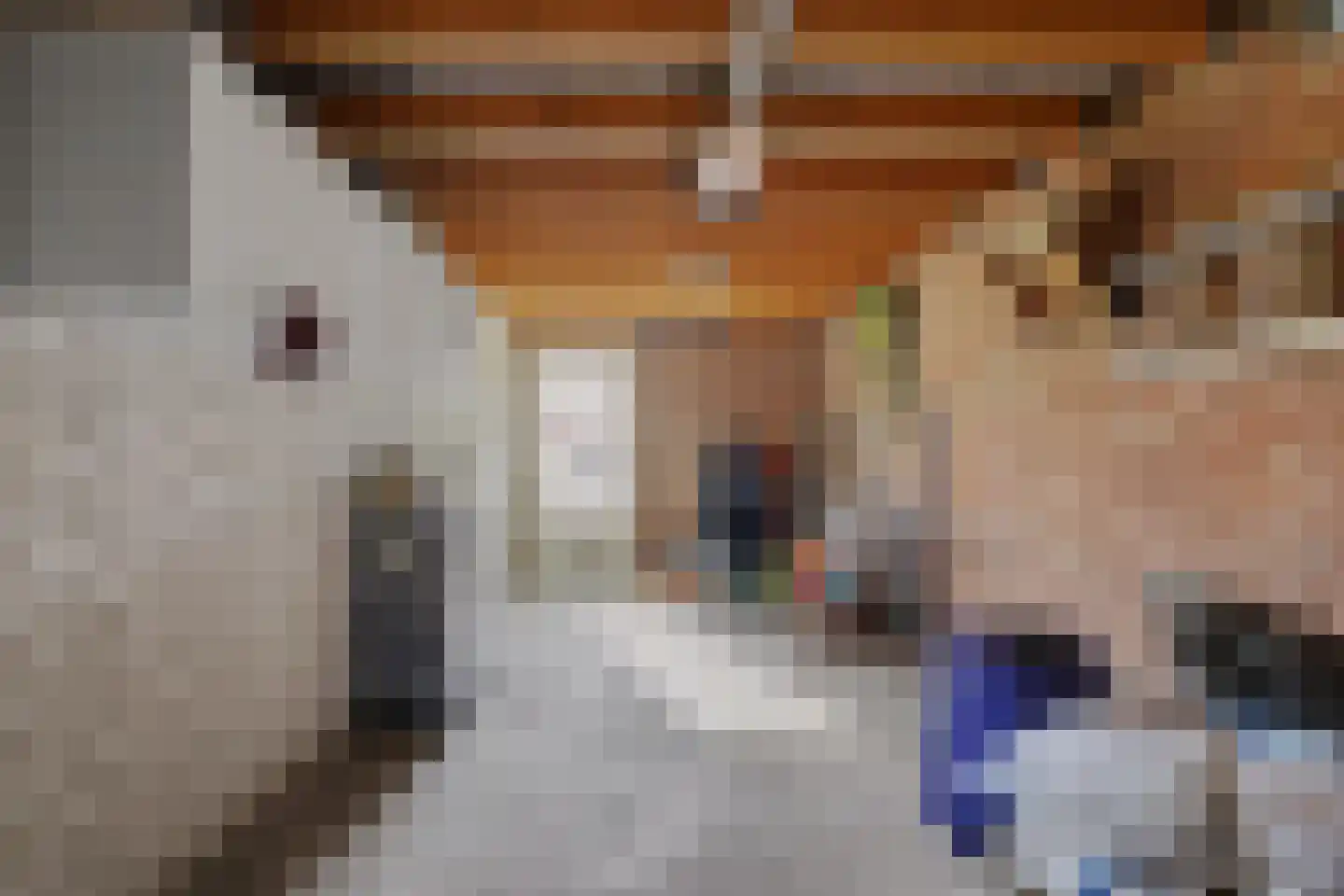 Etty Hillesumlaan 1 Kloetinge thumbnail 24