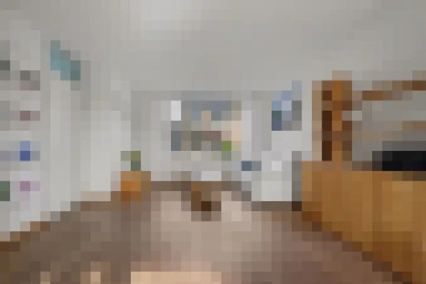 Etty Hillesumlaan 1 Kloetinge thumbnail 5
