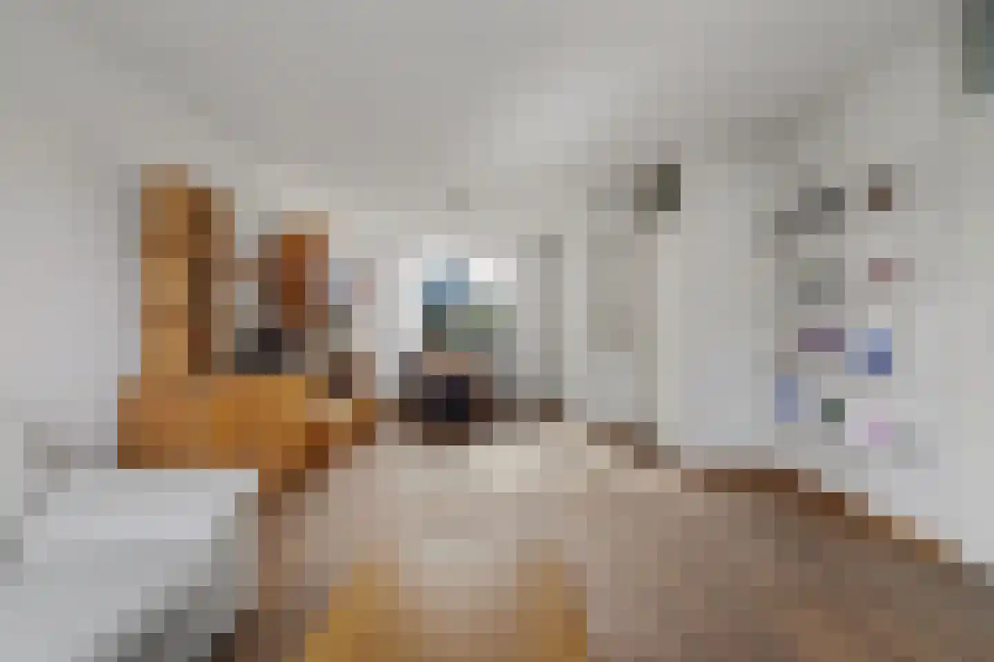 Etty Hillesumlaan 1 Kloetinge thumbnail 7