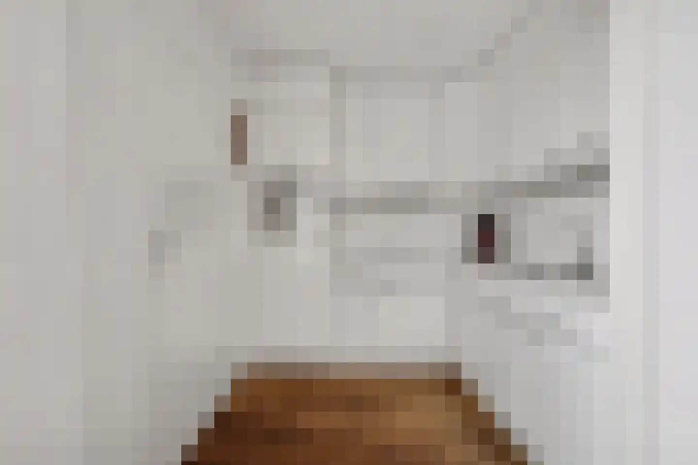 Etty Hillesumlaan 1 Kloetinge thumbnail 9