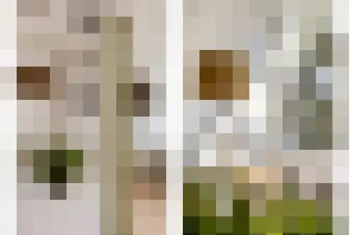 Etty Hillesumlaan 15 Kloetinge thumbnail 11