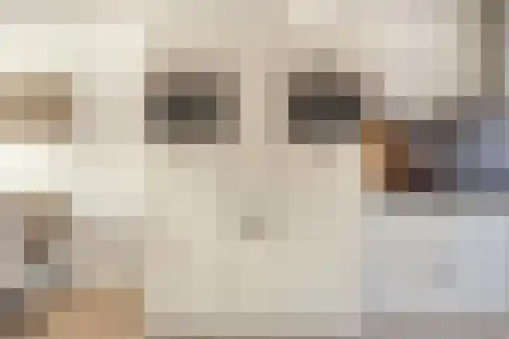 Etty Hillesumlaan 15 Kloetinge thumbnail 12
