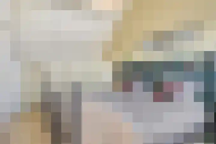 Etty Hillesumlaan 15 Kloetinge thumbnail 16